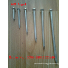 Galvanized Smooth Shank Concrete Steel Nail